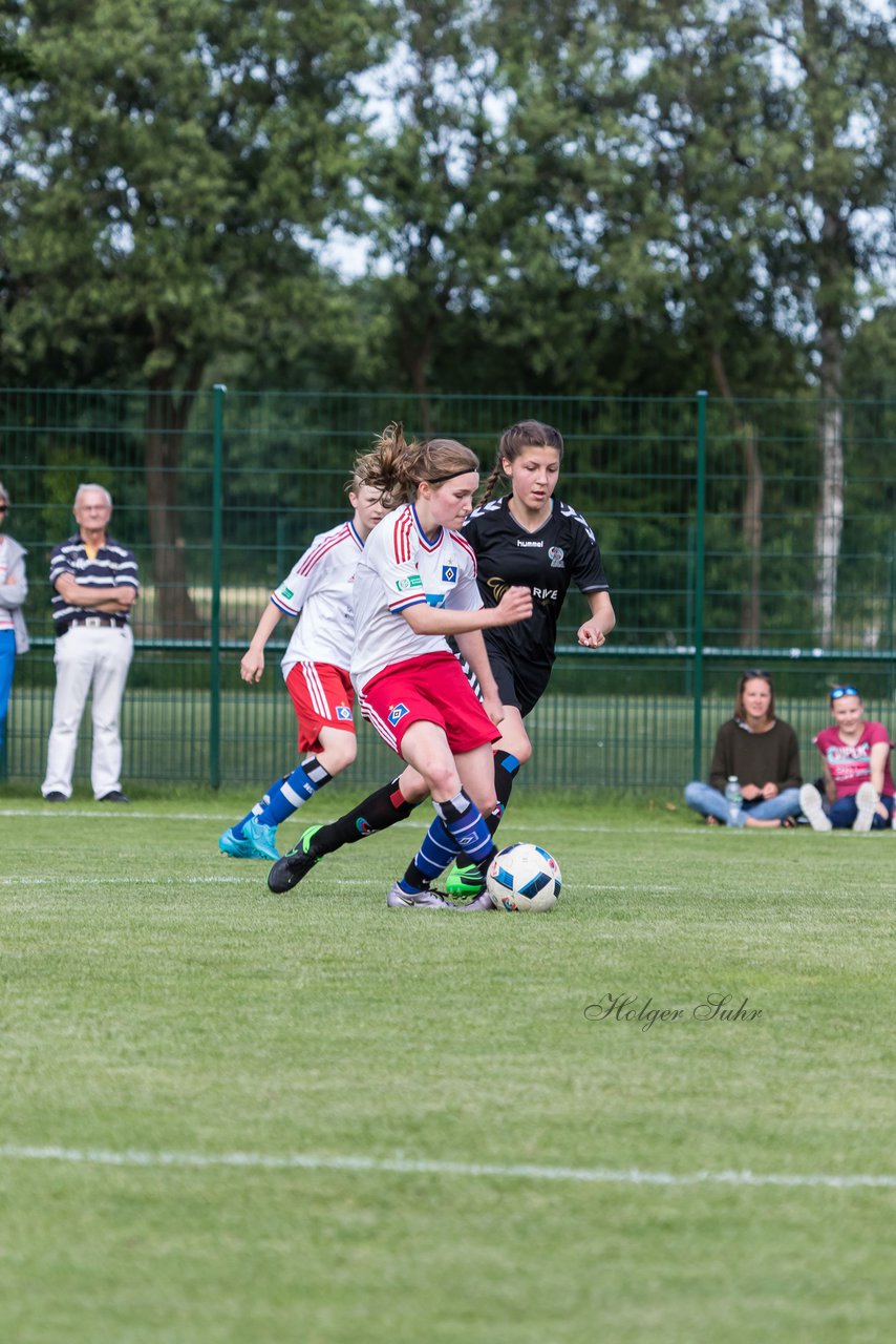 Bild 317 - wBJ Hamburger SV : SV Henstedt Ulzburg : Ergebnis: 4:2